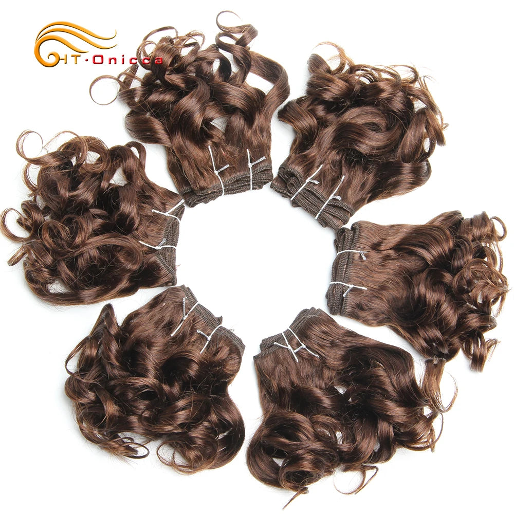 Curly Human Hair Bundles 100% Human Hair Bundles Brazilian Hair Weave Bundles 6 Pcs/Lot Color 1B/2/4/30/33/99J Curly Hair
