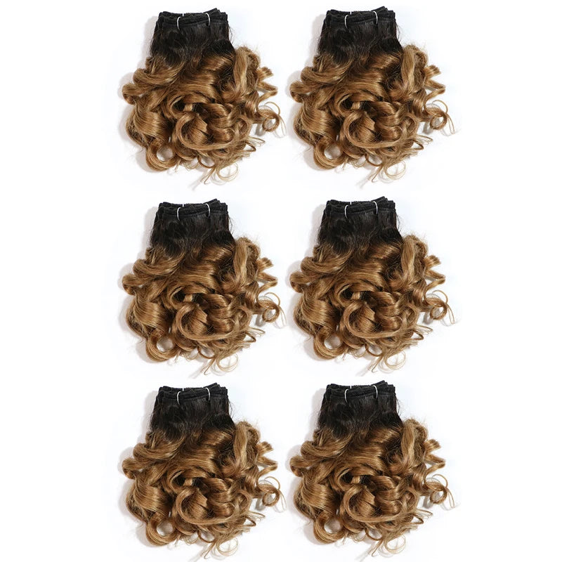 Curly Human Hair Bundles 100% Human Hair Bundles Brazilian Hair Weave Bundles 6 Pcs/Lot Color 1B/2/4/30/33/99J Curly Hair