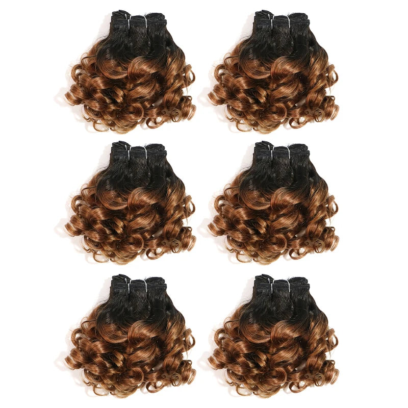 Curly Human Hair Bundles 100% Human Hair Bundles Brazilian Hair Weave Bundles 6 Pcs/Lot Color 1B/2/4/30/33/99J Curly Hair