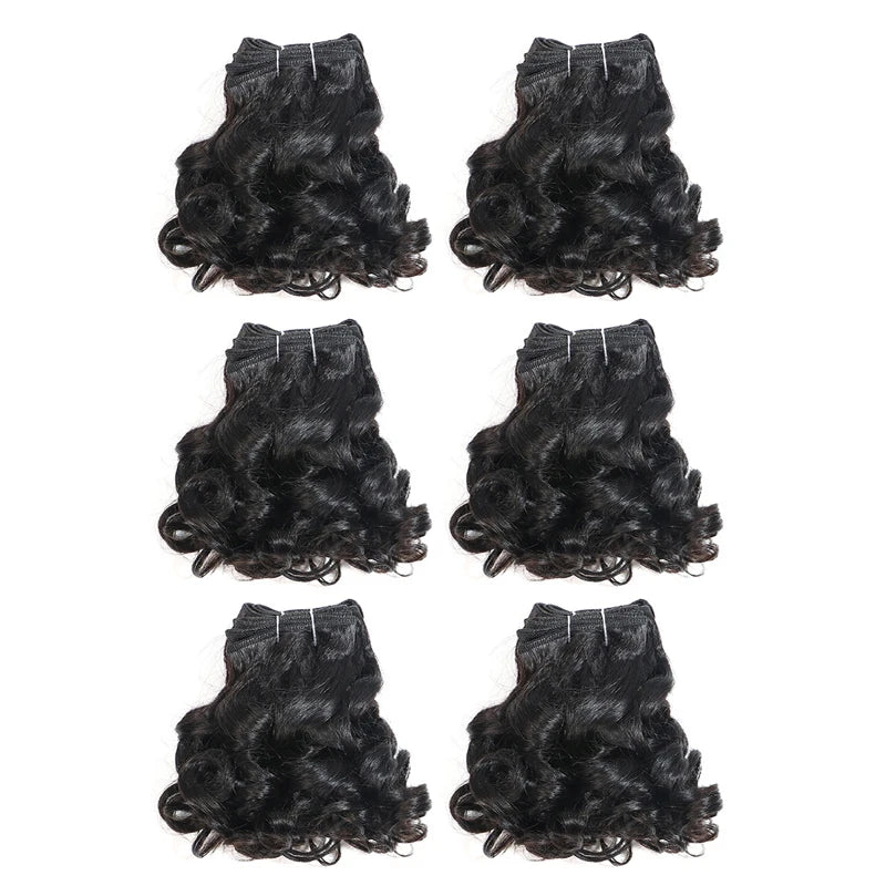 Curly Human Hair Bundles 100% Human Hair Bundles Brazilian Hair Weave Bundles 6 Pcs/Lot Color 1B/2/4/30/33/99J Curly Hair