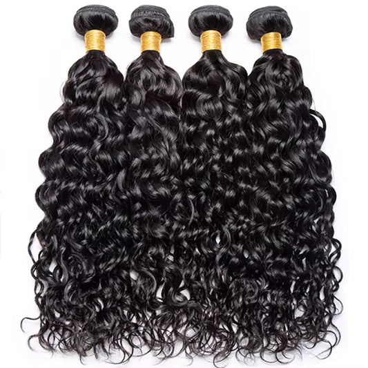 Malaysian Human Hair Water Wave Bundles With Lace Closure Virgin Human Hair Weave With 4x4 HD Transparent Lace Closure