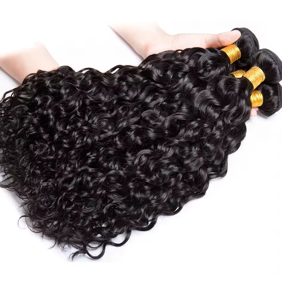 Malaysian Human Hair Water Wave Bundles With Lace Closure Virgin Human Hair Weave With 4x4 HD Transparent Lace Closure